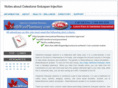 celestone-soluspan.com