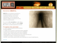 emiur.com