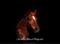 horsecapture.net