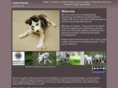 kydavekennels.com