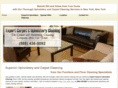 expertcarpetandupholsteryclean.com