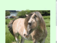 goldleighstud.com