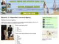 heitinginsurance.com