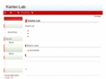 kantei-lab.com
