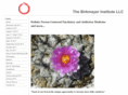 thebirkmayerinstitute.com