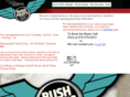bushpilotsrock.com