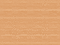 gaajsp.org
