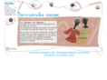 loreke.com