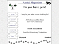 amagnetism.com