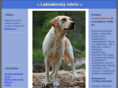 labradorskyretrivr.cz