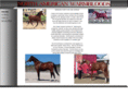 northamericanwarmbloods.net