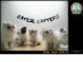 cateyecattery.com
