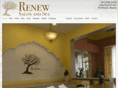 renewsalonanddayspa.com