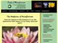 seedsofmindfulness.com