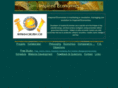 inspiredeconomies.com