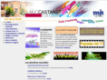 mjc-castanet-tolosan.com