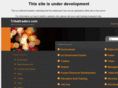 tribaltraders.com