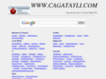 cagatayli.com