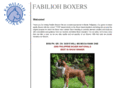 fabiliohboxers.com