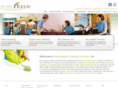 gatineauhousecleaners.com