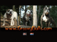 groovybulls.com