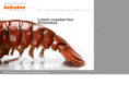 lobstercom.at