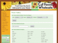 premiumwholesaleflorist.com