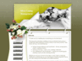 silverliningmgmt.net