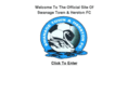 virtualswans.com
