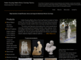hebzhongfu.com