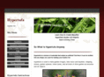 hypertufagardenart.com
