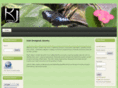 irishdesignedjewelry.com