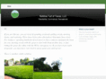 nomowturftx.com
