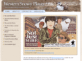 westernsnowyplover.com
