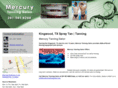 mercurytanningsalon.com
