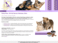 riversquareanimalhospital.com