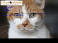 livingorange.com