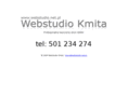 webstudio.net.pl