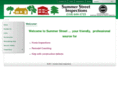 summerinspect.com