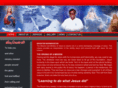 vidivelliministries.com
