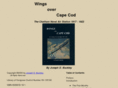 wingsovercapecod.com