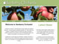 ikenberryorchards.com