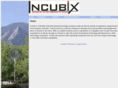 incubix.net