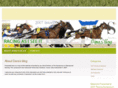 racingasiseeit.com