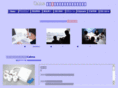 say-international.com