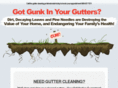 guttercleaningpros.com
