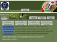 tsrasoccerreferees.com