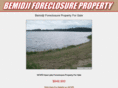 bemidjiforeclosureproperty.com