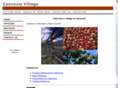 casnoviavillage.org