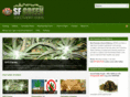sfgreendelivery.com